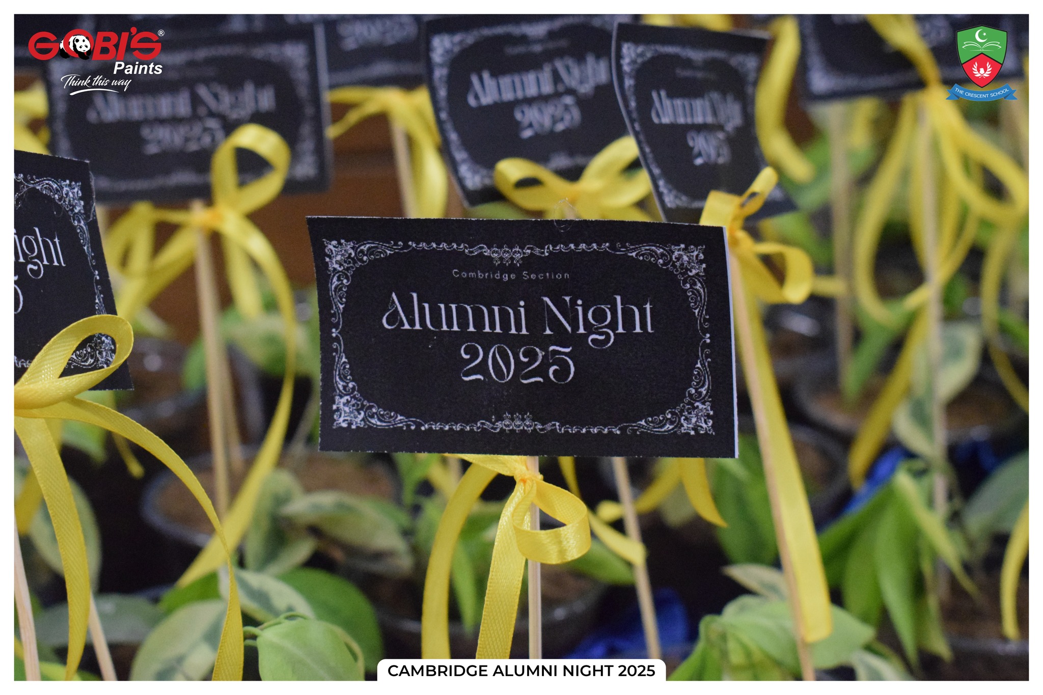 Crescent Model School Cambridge Alumni Night 2025