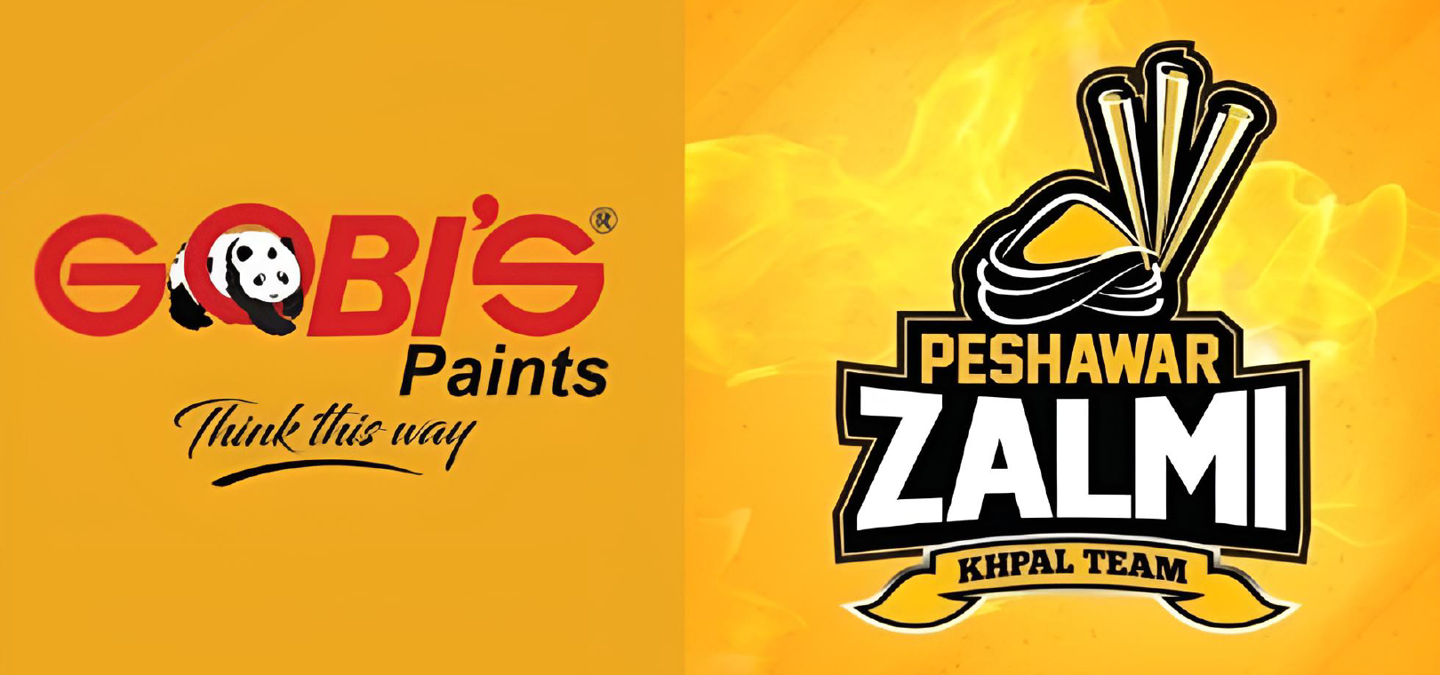 Peshawar Zalmi announces renewal of its strategic partnership with Gobi’s Paints